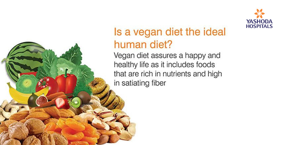 Is a vegan diet the ideal human diet?