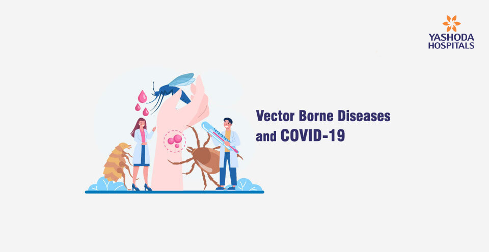 Vector Borne Diseases and COVID-19