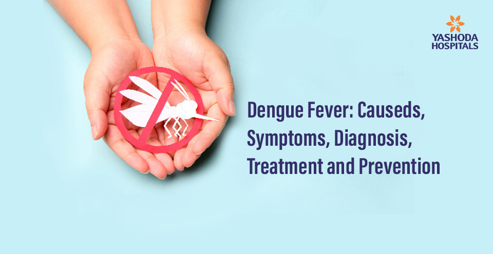 Dengue Fever : Causes, Symptoms, Diagnosis, Treatment and Prevention