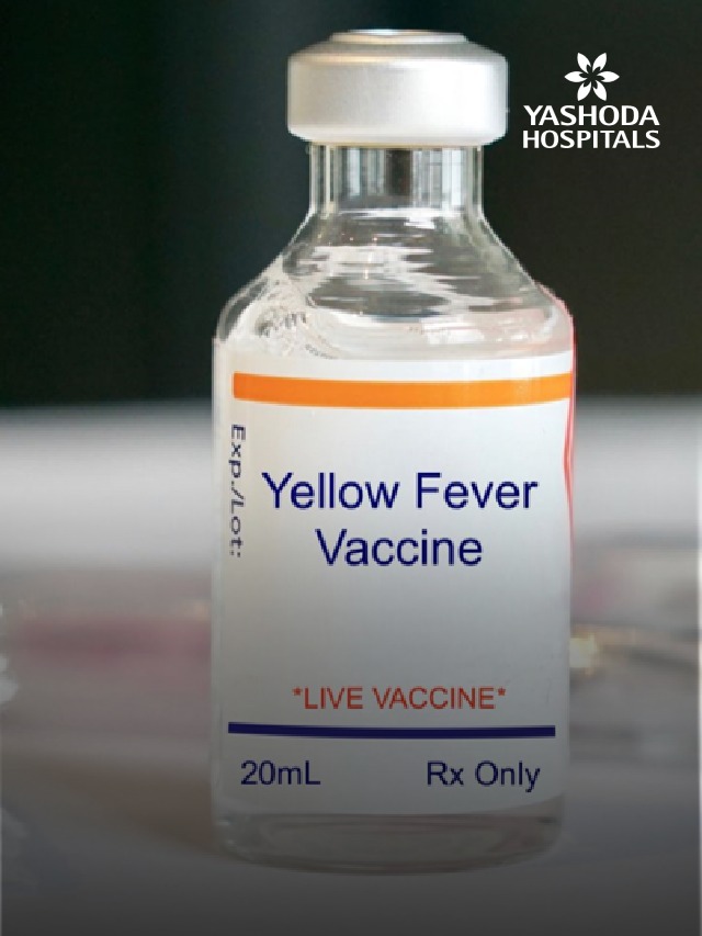 yellow fever slide 7