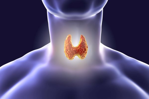 thyroid symptoms causes treatments