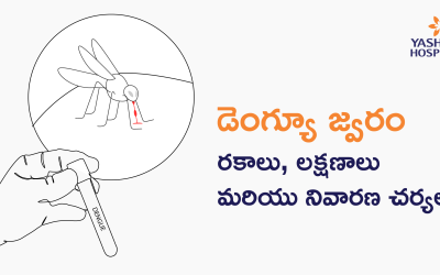 డెంగ్యూ జ్వరం: రకాలు, లక్షణాలు మరియు నివారణ చర్యలు