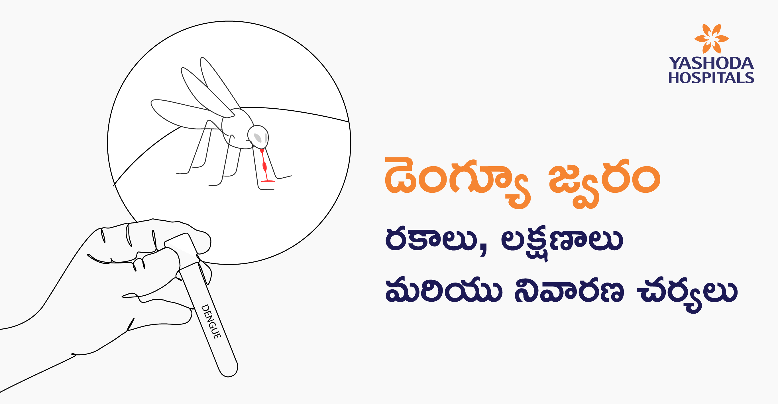 Dengue Telugu banner