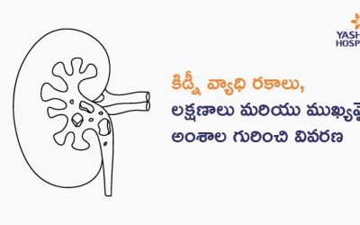 కిడ్నీ వ్యాధి రకాలు, లక్షణాలు మరియు ముఖ్యమైన అంశాల గురించి వివరణ