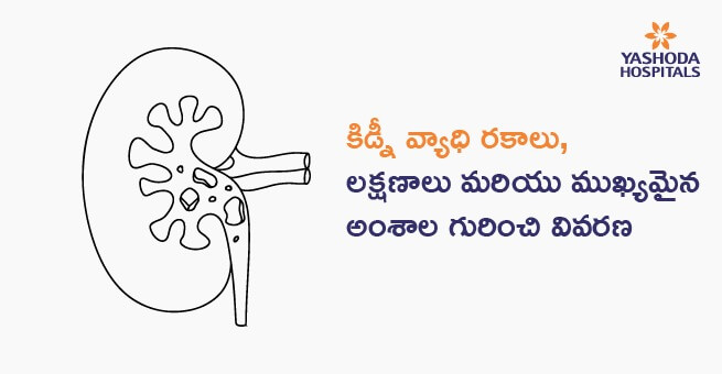 Kidney Diseases Types main banner telugu