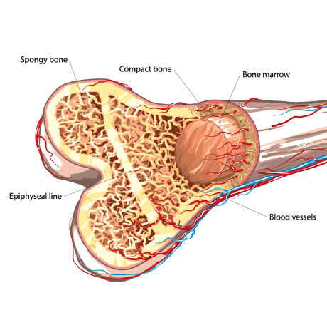 Factors Affecting