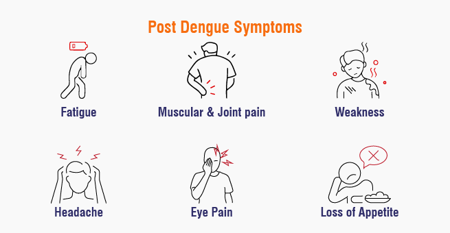Post Dengue Recovery A Comprehensive Guide_Body