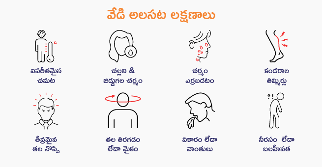 Heatstroke vs. Heat Exhaustion Telugu_Body