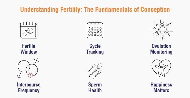 Fundamentals of Fertility
