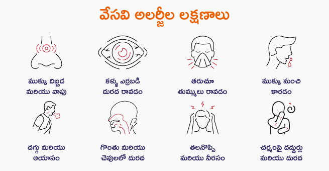 Summer allergies Symptoms