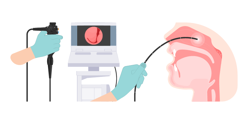 Web Banner_Videostroboscopy