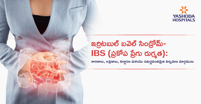 IBS Main Banner
