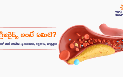 ట్రైగ్లిజరైడ్స్ అంటే ఏమిటి? శరీరంలో వాటి ప్రయోజనం, పనితీరు, లక్షణాలు, జాగ్రత్తలు
