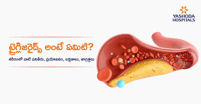 Triglycerides Telugu Main Banner
