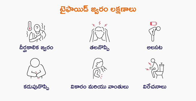 Typhoid fever symptoms