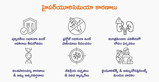 Uric Acid and Health