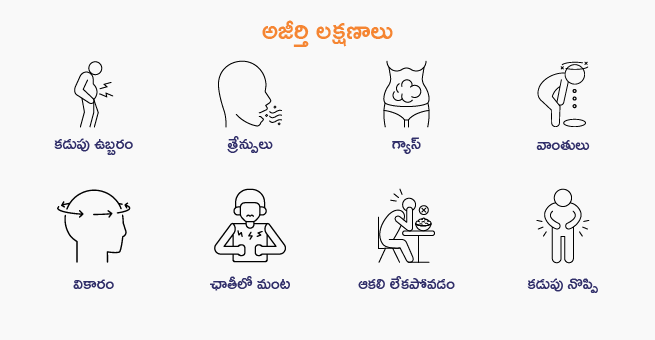 What causes indigestion lugu_Body