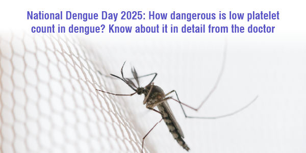 National Dengue Day 2025