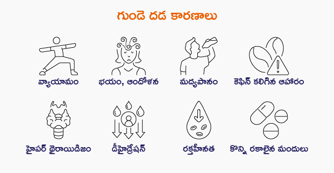Heart Palpitations Types