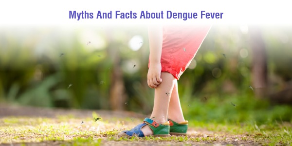 Myths And Facts About Dengue Fever