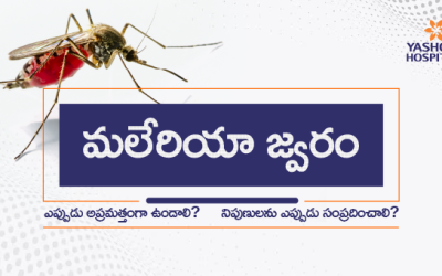 మలేరియా జ్వరం: ఎప్పుడు అప్రమత్తంగా ఉండాలి? నిపుణులను ఎప్పుడు సంప్రదించాలి?