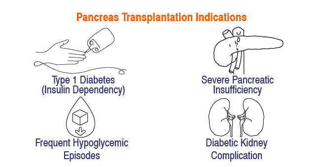 Pancreas