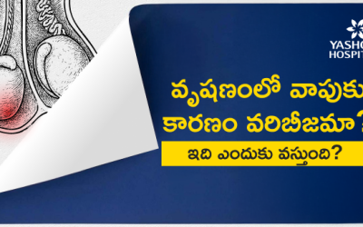 వృషణంలో వాపుకు కారణం వరిబీజమా? ఇది ఎందుకు వస్తుంది?