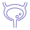 Bladder Stone Removal