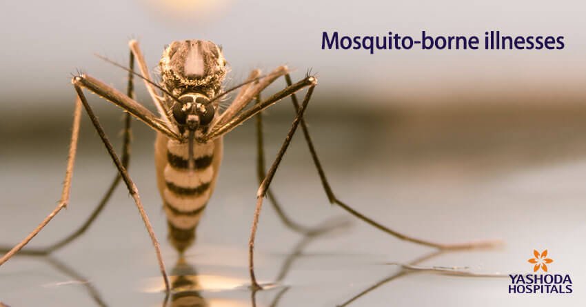 Mosquito-borne illnesses