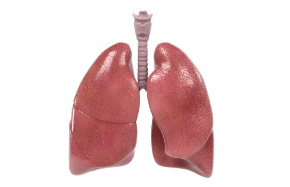 Pneumonectomy Cost in India | Pneumonectomy Cost in Hyderabad